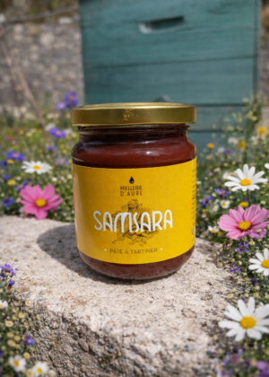 Samsara